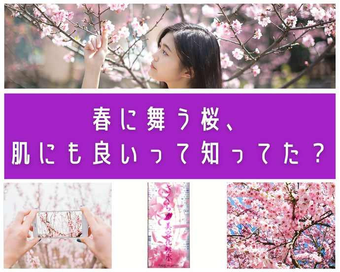 春に舞う桜、肌にも良いって知ってた？